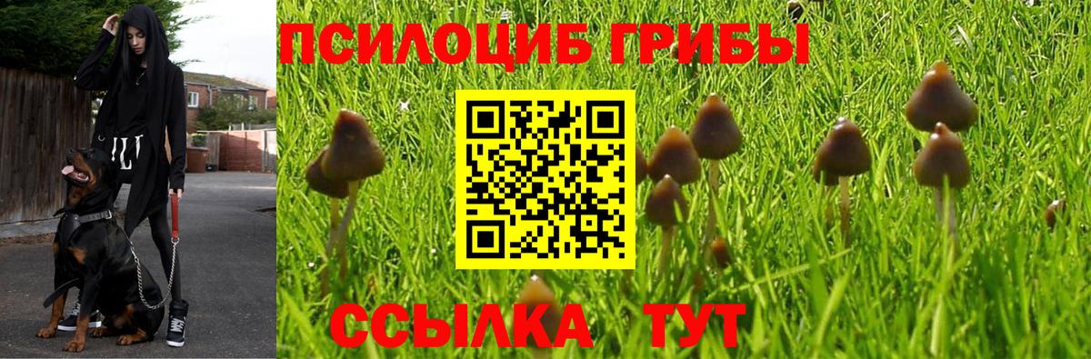 Псилоцибиновые грибы Psilocybine cubensis  дарнет шоп  Грозный  Вход с VPN 