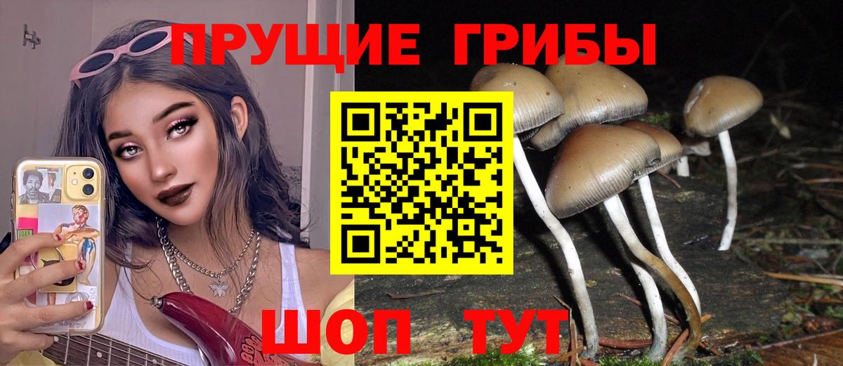 Псилоцибиновые грибы ЛСД Грозный